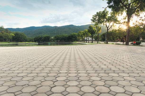 Best Driveway Pavers Near Me  in Sussex, NJ